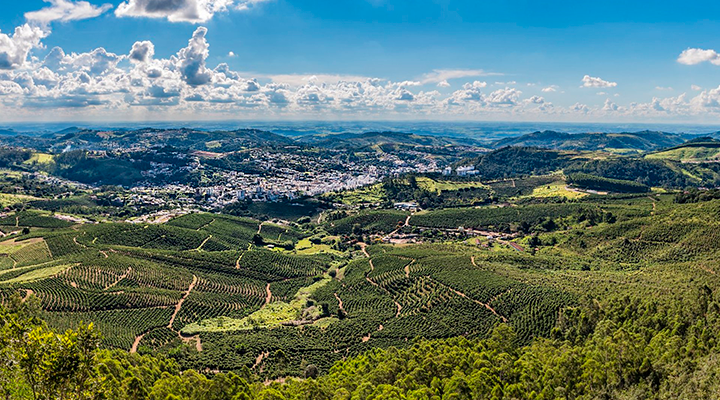 AFPESP cataloga fauna nas áreas de três unidades de lazer